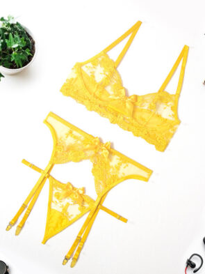 Three-Piece Lace Embroidered Bra, Panty And Garter Belt