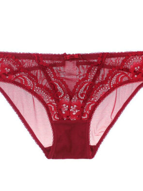 Lace sheer ladies panties